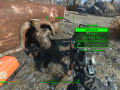 Fallout4 2015-11-24 23-21-54-09.png